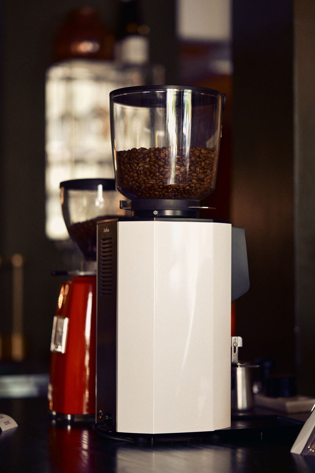 Burr grinder hopper filled with freshly roasted coffee beans