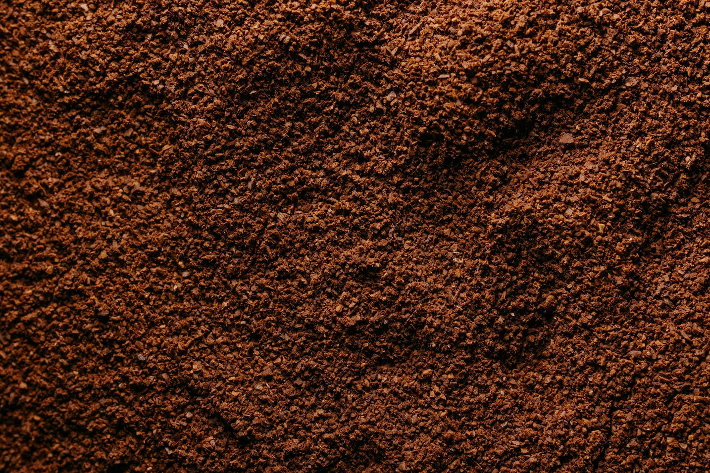 Macro close-up of finely ground espresso showing particle texture