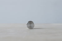 Acaia Calibration Weight (100 g)