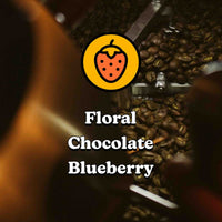 Kochere Natural - Ethiopia