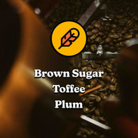 Sugar Cane Decaf - Colombia