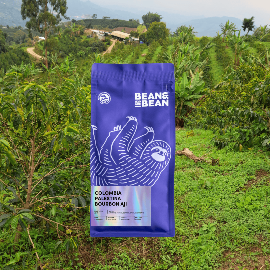 Colombia Palestina Bourbon Aji