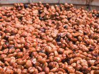 Costa Rica La Guaca Honey Microlot