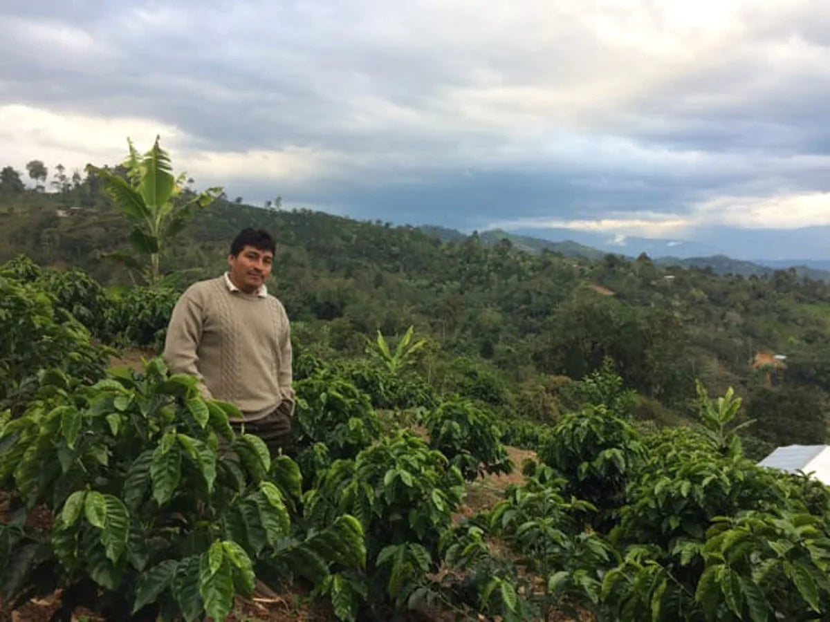 Peru Churupampa