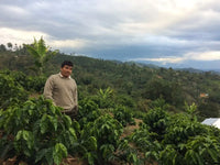 Peru Churupampa