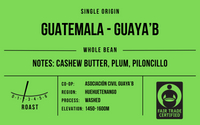 Guatemala Guaya'b Light Roast
