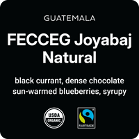 Guatemala FECCEG Joyabaj Natural