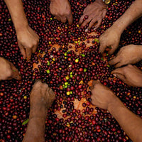 Guatemala Guaya'b