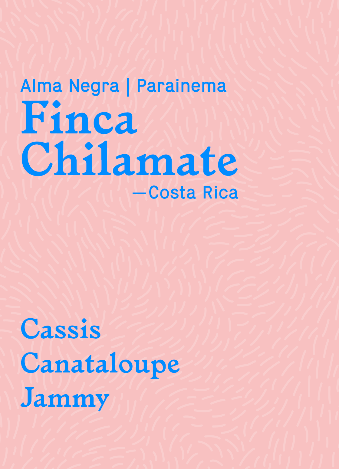 Finca Chilamate Parainema