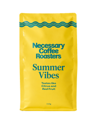 Necessary Summer Vibes 2026