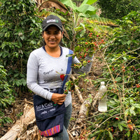 Peru Sol y Café