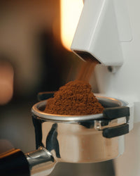 Turin DF64 Gen 2 Single Dose Grinder
