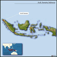 Sumatra Gayo KSU