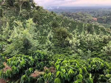 Mexico Sierra Madre