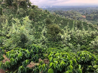 Mexico Sierra Madre