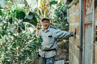 Colombia Sonson Black Honey single origin coffee from Portrait Coffee, image 2