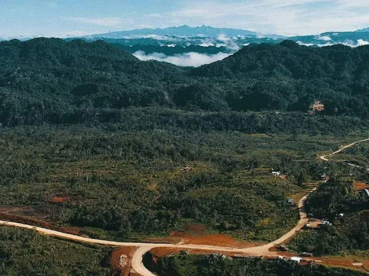 Papua New Guinea Chimbu Natural