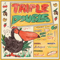 Triple Double natural process Colombia coffee from Portrait Coffee, image 2